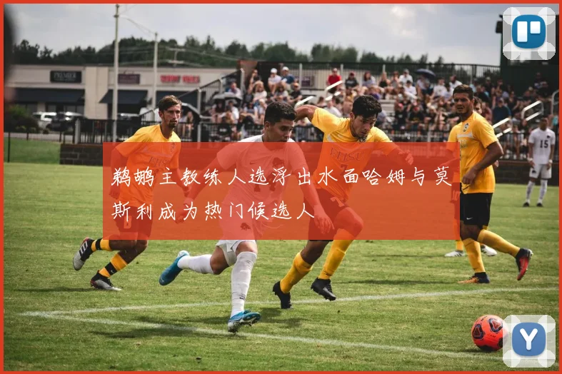 鹈鹕主教练人选浮出水面哈姆与莫斯利成为热门候选人