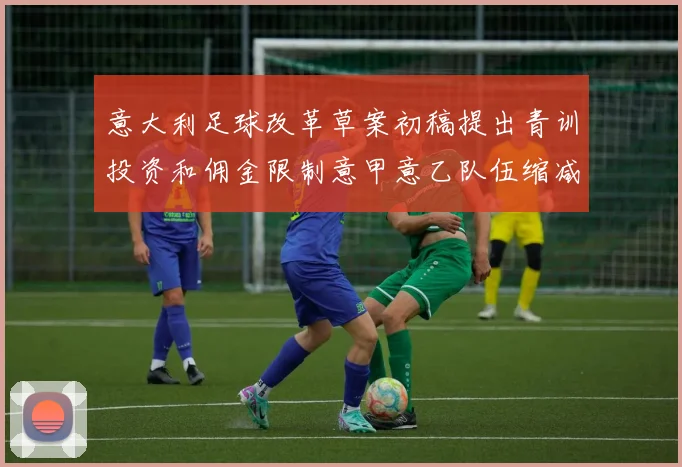意大利足球改革草案初稿提出青训投资和佣金限制意甲意乙队伍缩减至18队
